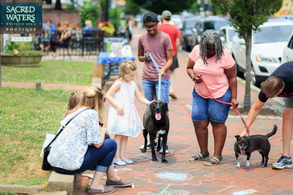 Mastering Dog Introductions: A Guide to Creating Happy Social Experiences