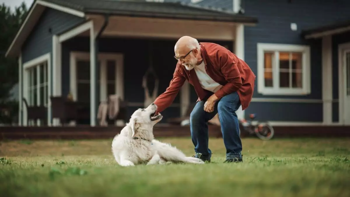 The Perfect Pup: Choosing the Right Dog for Baby Boomers