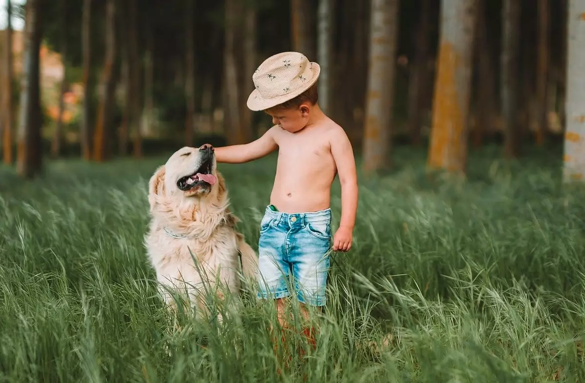 Finding the Perfect Family Dog: Breeds That Adore Children