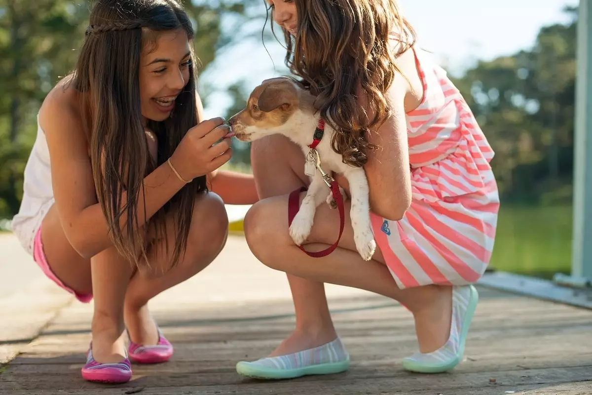 Choosing the Perfect Family Dog: An In-Depth Look at Kid-Friendly Breeds