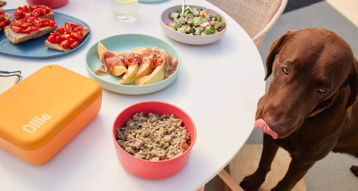 Transforming Pet Nutrition: The Ollie Commitment