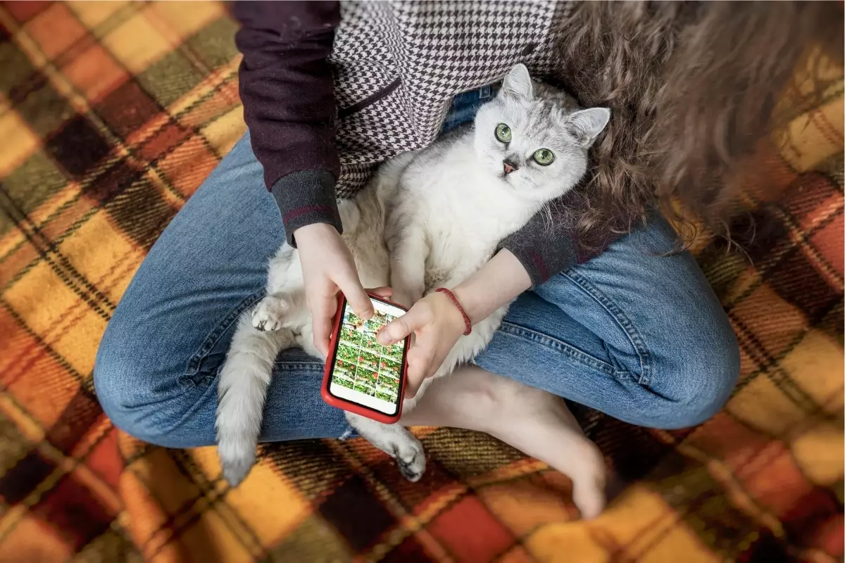 The Jealousy of Cats: Understanding Their Unique Responses to Our Smartphone Habits