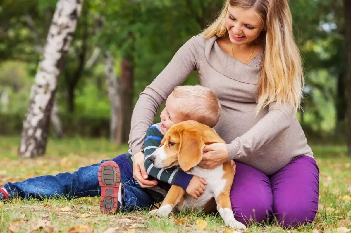 The Unmatched Bond: How Dogs Enrich Family Life