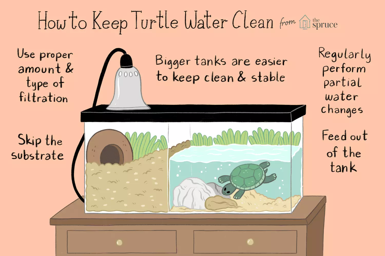 Essential Guidelines for Maintaining Optimal Water Quality for Your Pet Turtles