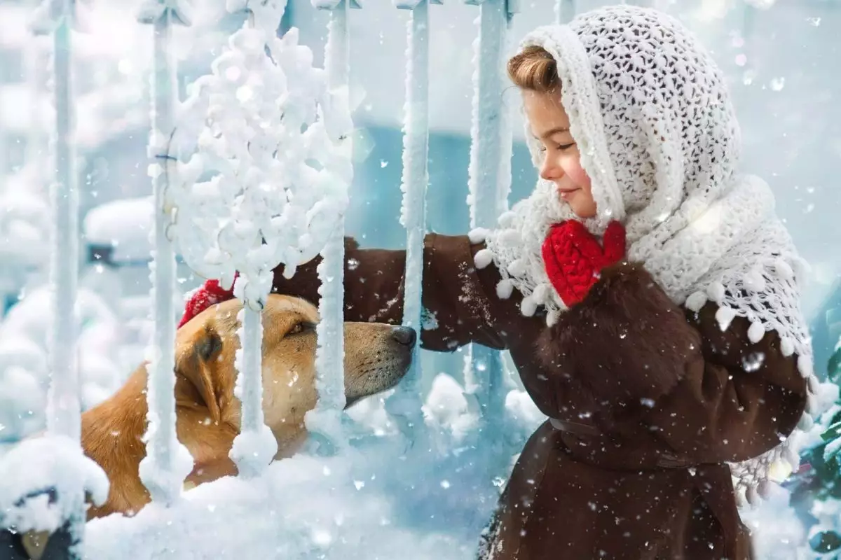 Bringing Joy to Shelter Dogs This Christmas: Creative Ways to Make a Difference