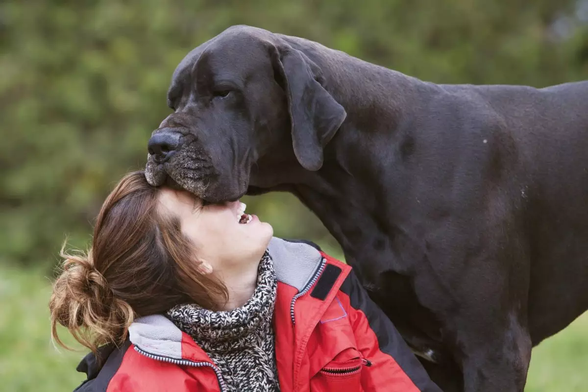 The Unspoken Language of Canine Affection: Understanding Your Dog’s Love