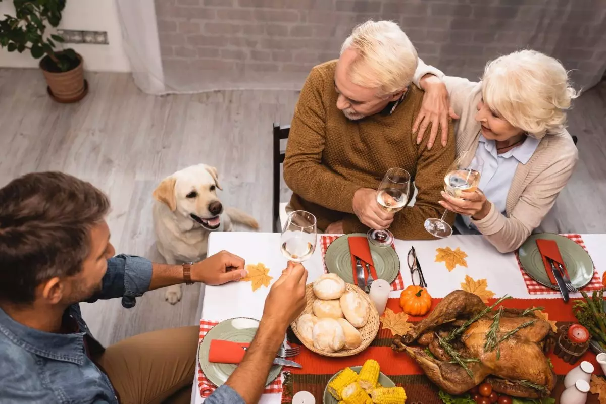 Festive Feast: Safe Holiday Foods to Share with Your Dog