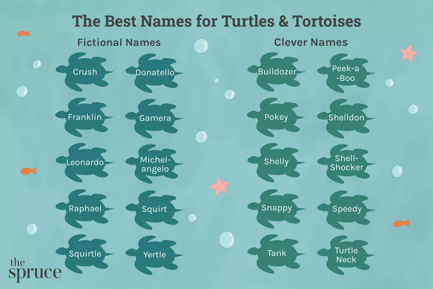 Choosing the Perfect Name for Your Pet Turtle: A Comprehensive Guide