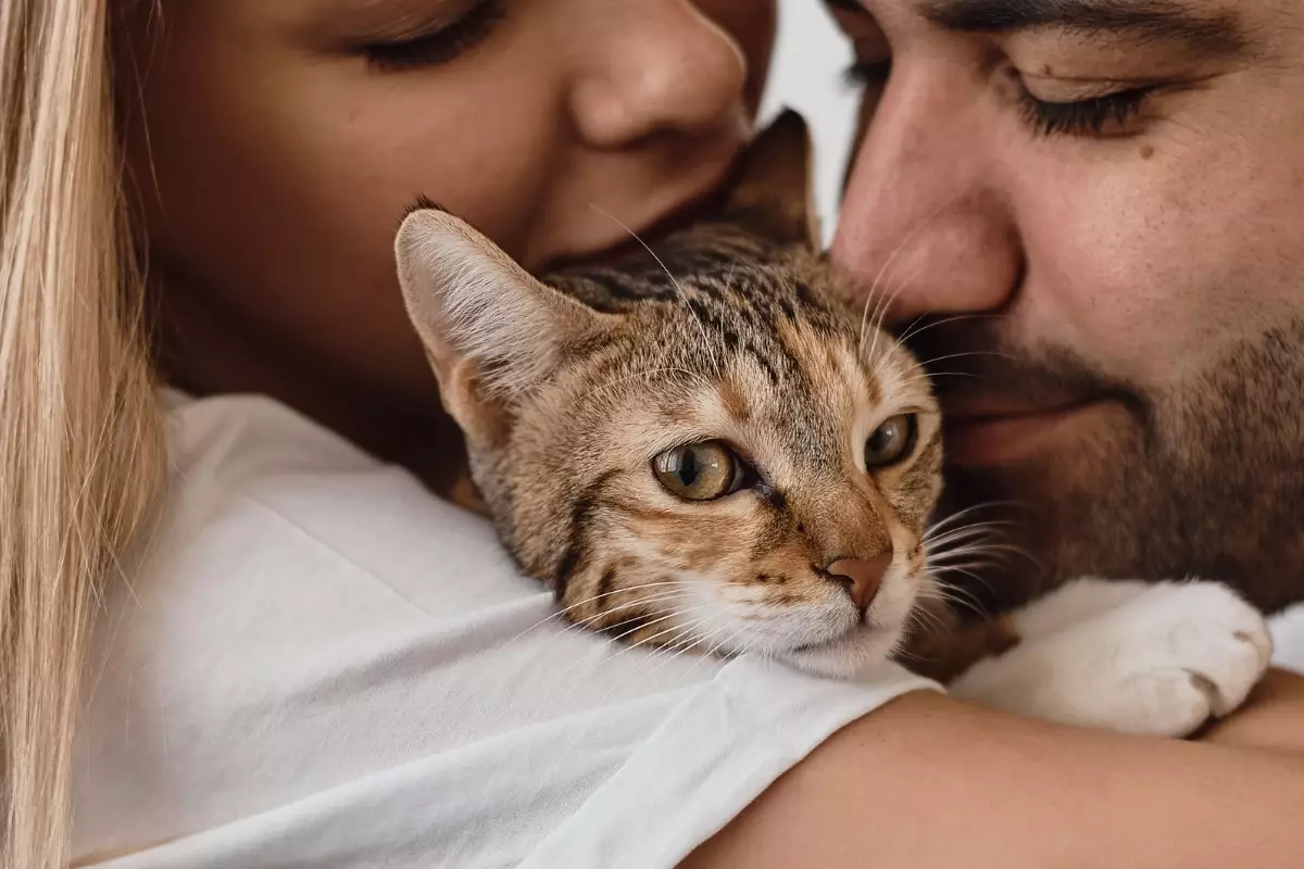 Understanding the Silent Affection of Cats