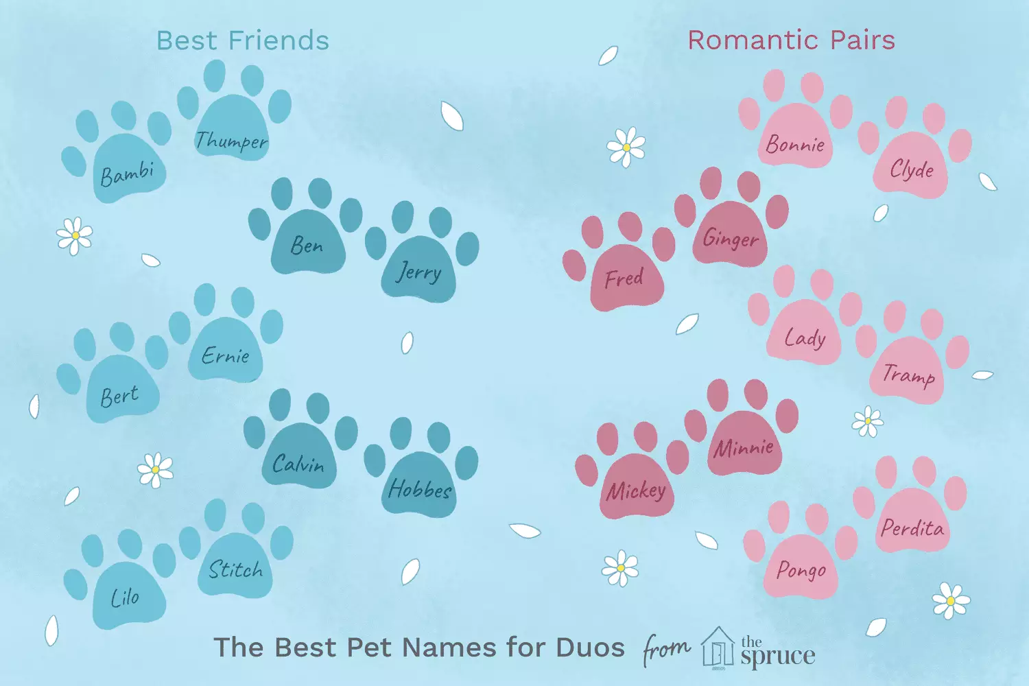 Creative Names for Your Dynamic Duo: Choosing Names for Pairs of Pets