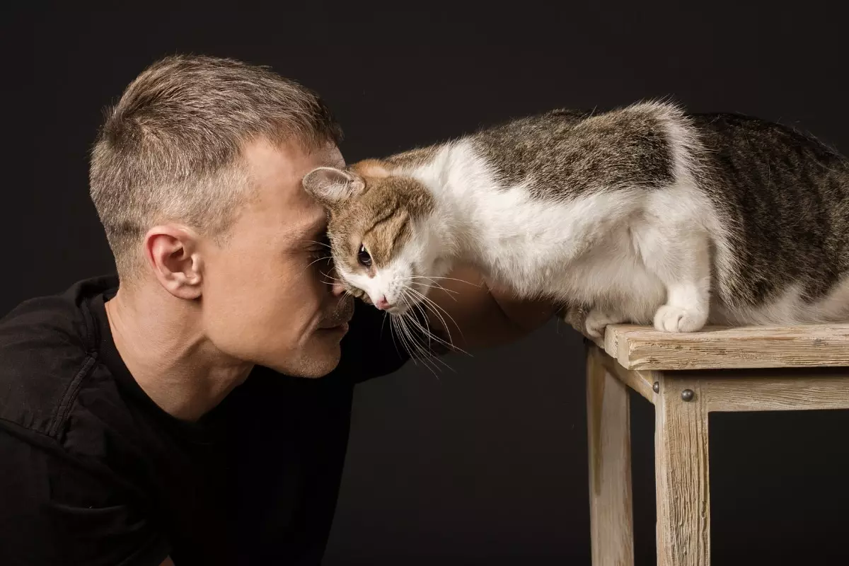 The Intricate Language of Feline Trust: Understanding Your Cat’s Affection