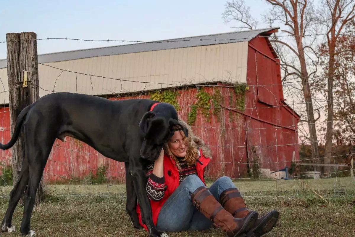 Unleashing the Essence of Canine Companionship