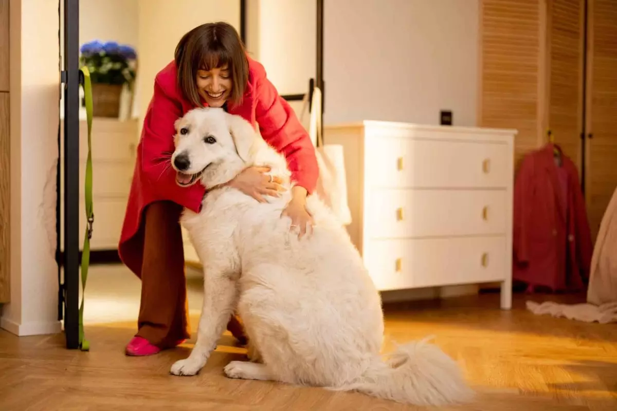 The Unconditional Bond: Why Dogs Are Humanity’s Best Friends