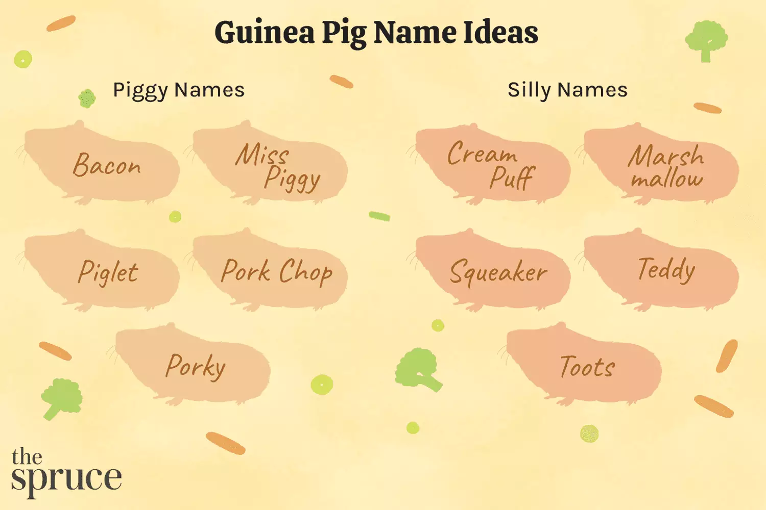 The Ultimate Guide to Naming Your Beloved Guinea Pig