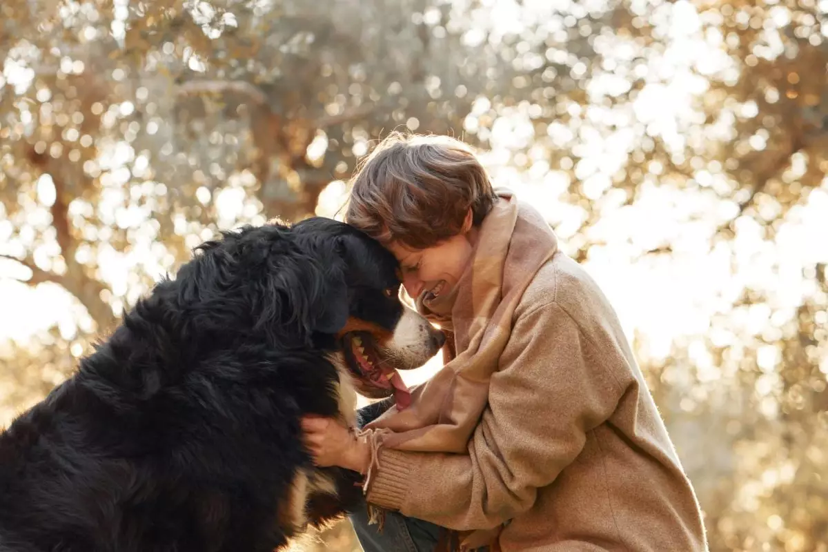 The Profound Lessons of Love We Learn from Our Canine Companions