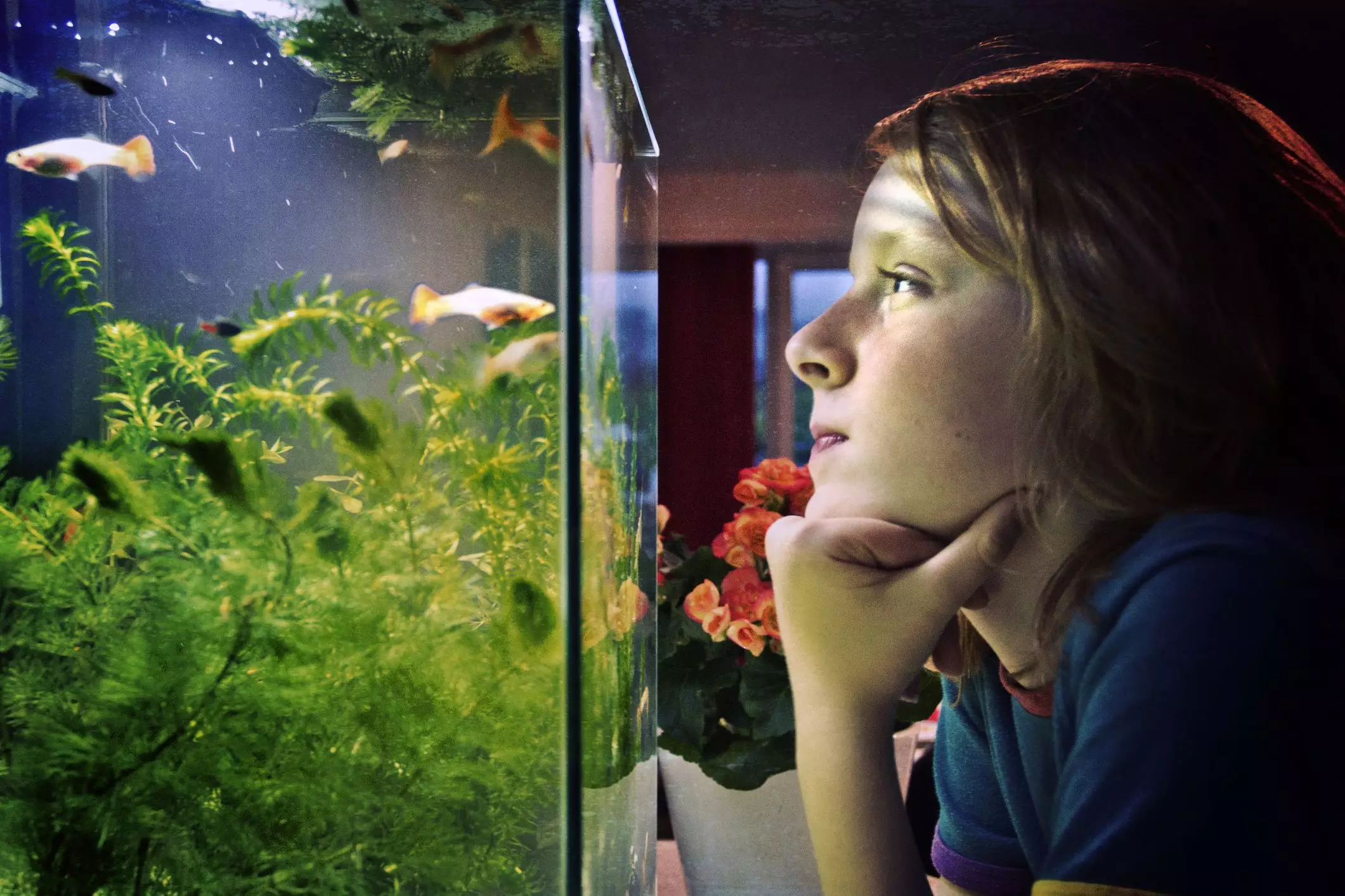 Getting Started with Aquariums: A Newbie’s Guide to Success