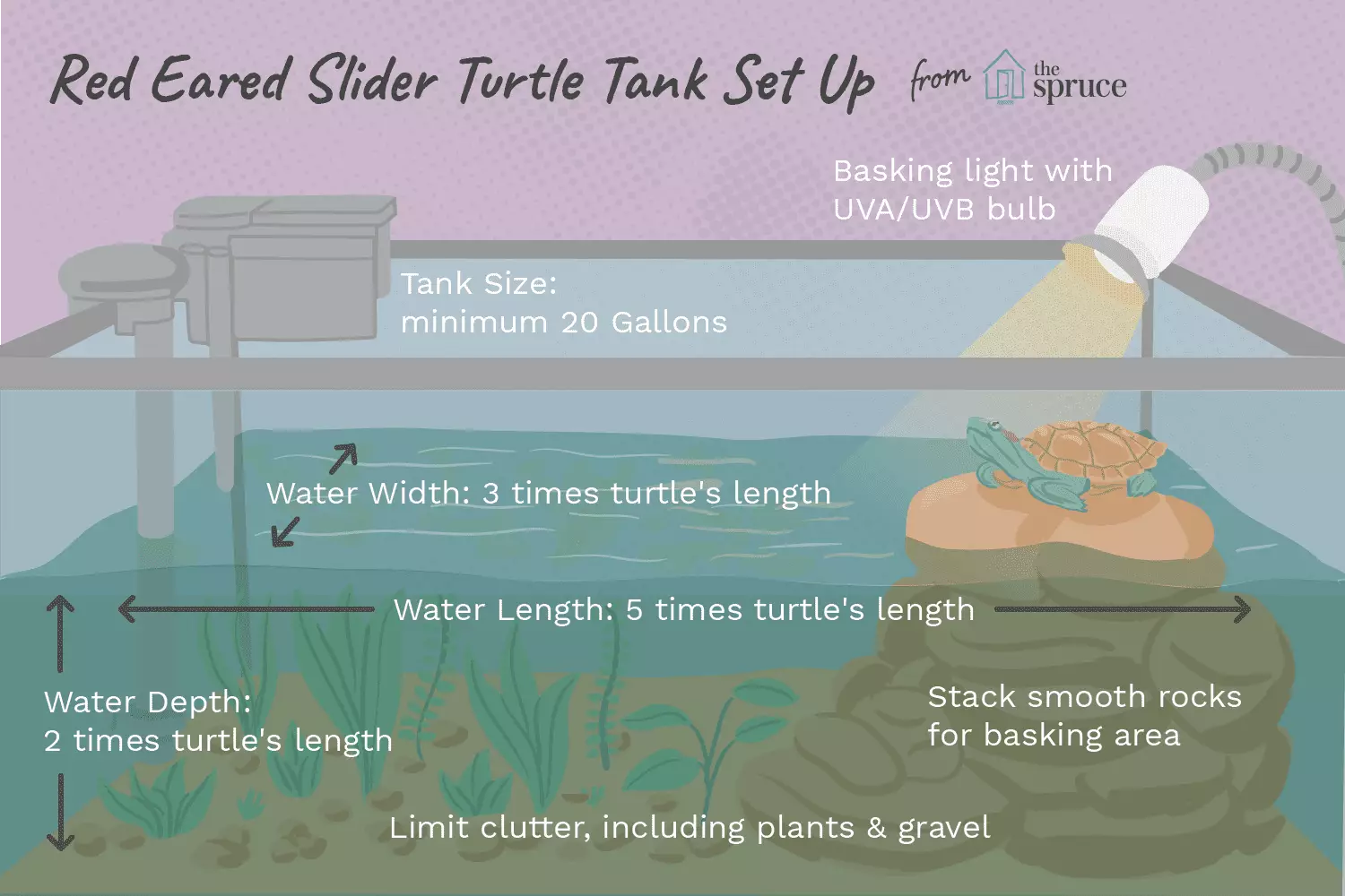 Essential Care for Red-Eared Slider Turtles: A Comprehensive Guide