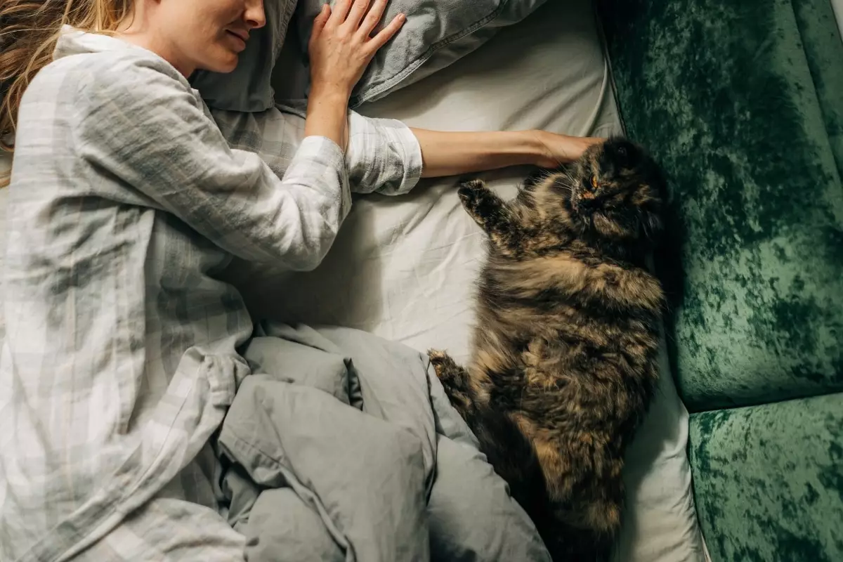 Understanding Feline Loyalty: The Subtle Signs Your Cat Truly Cares