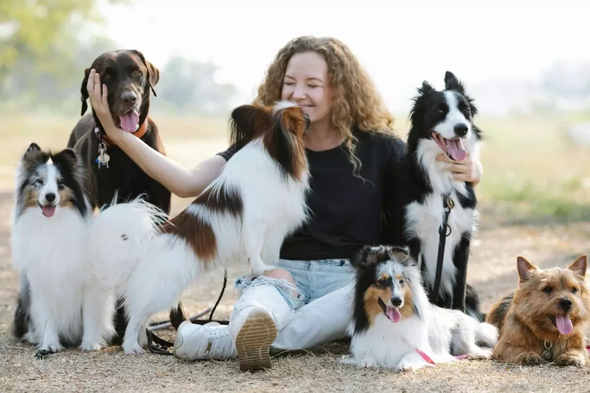 Choosing the Right Dog Breeds for Multi-Pet Homes: A Harmonious Blend of Companionship