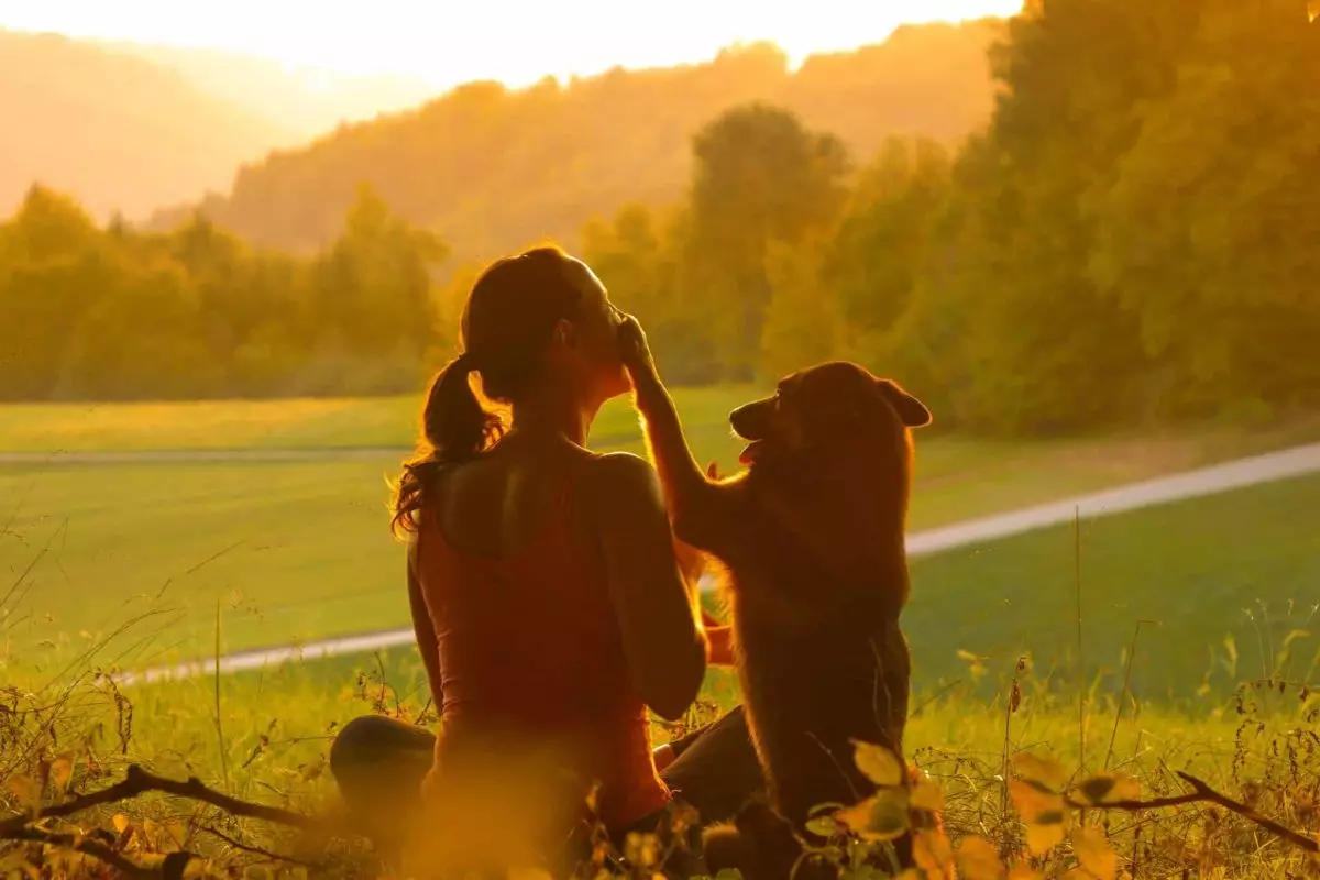 The Unwavering Bond: Understanding Your Dog’s Loyalty