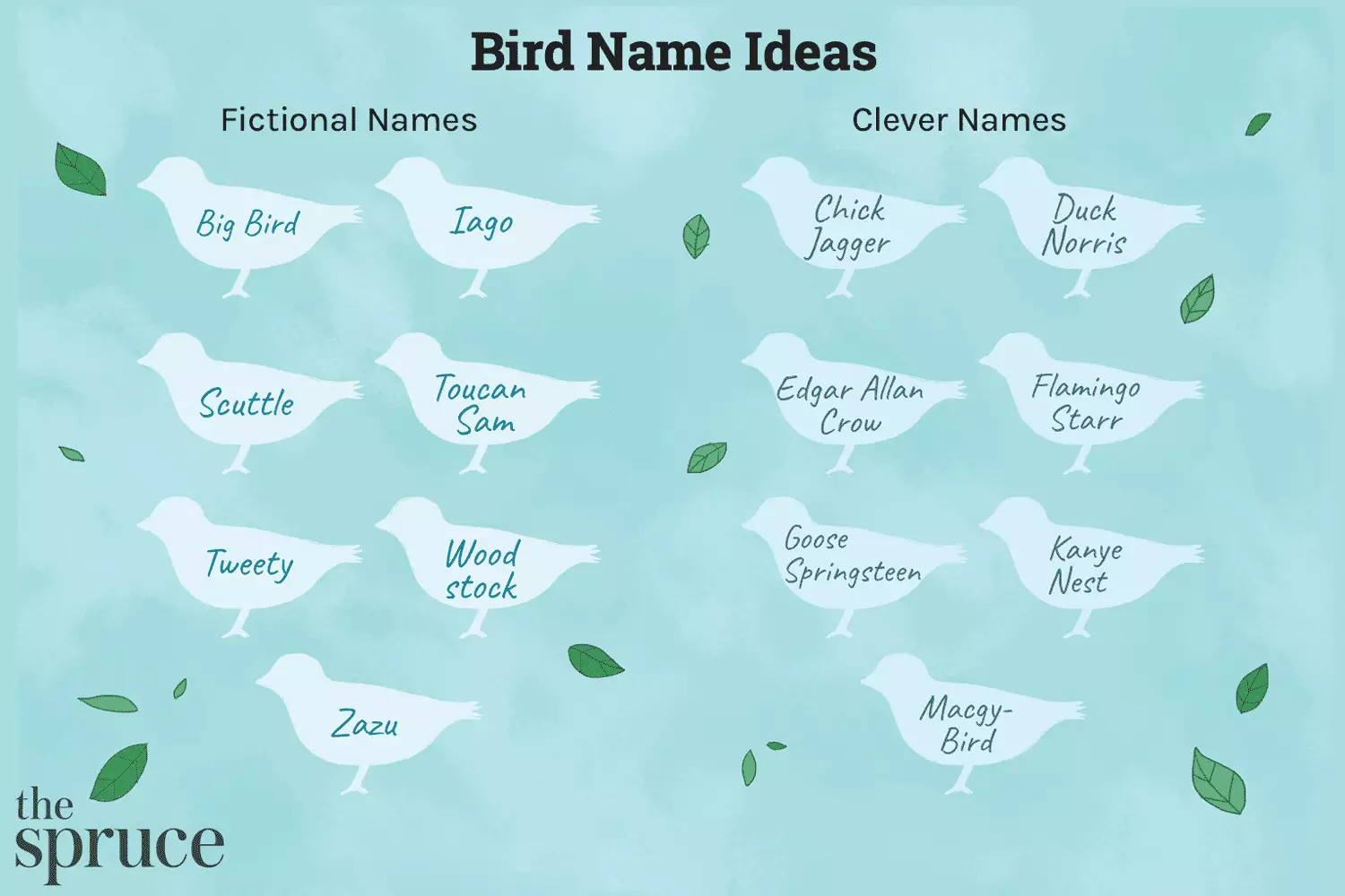 Choosing the Perfect Name for Your Feathered Friend