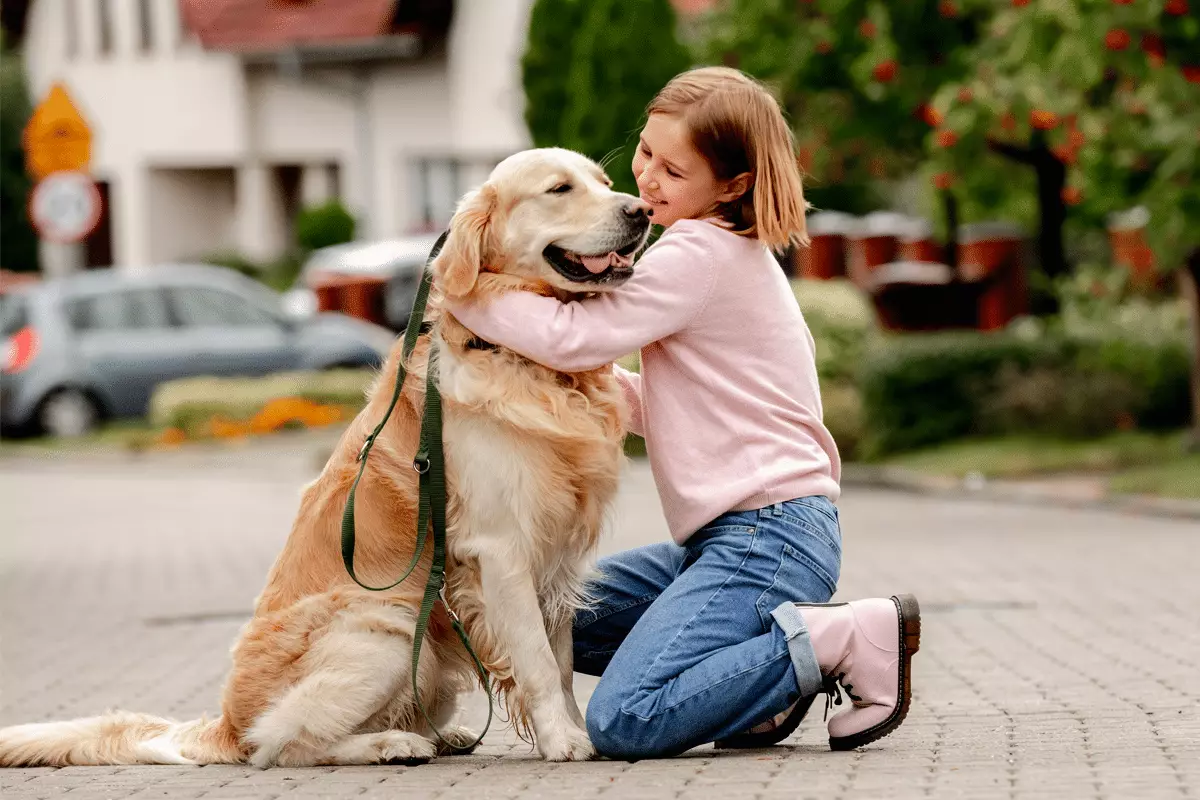 Top 15 Most Obedient Dog Breeds: The Eager Listeners