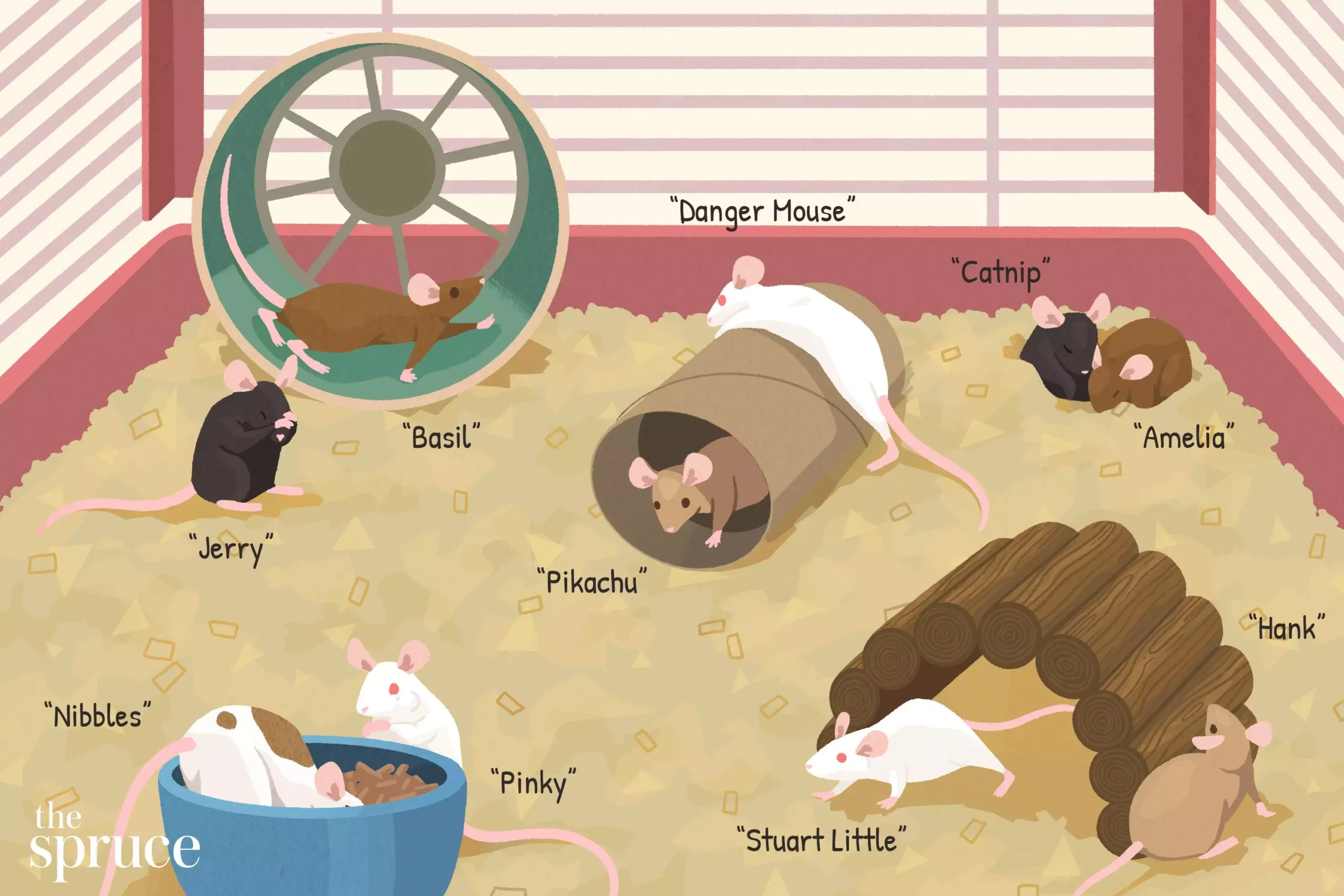 Charming Companions: Finding the Perfect Name for Your Pet Mouse