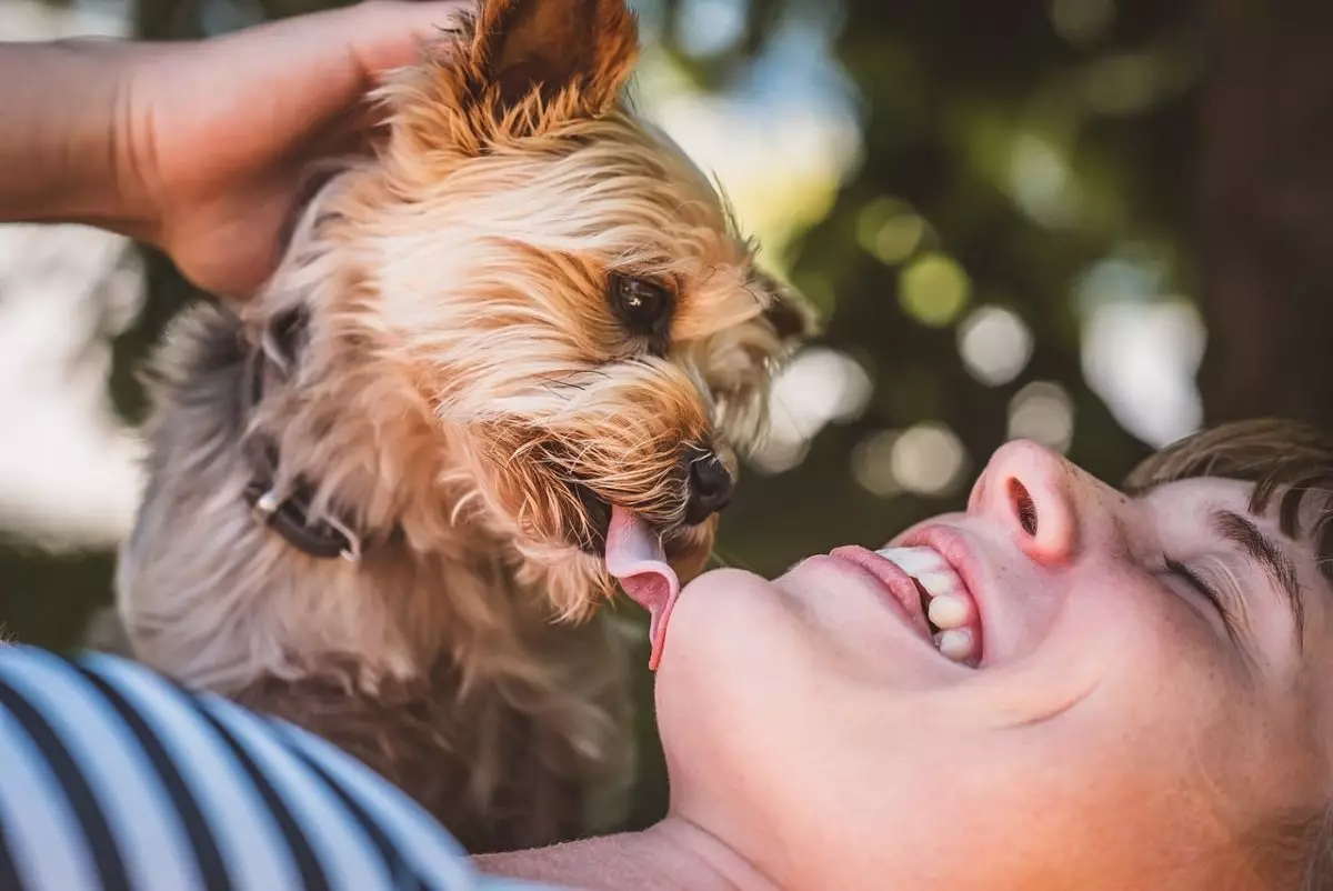 The Unbreakable Bonds: Exploring Dogs That Love Unconditionally