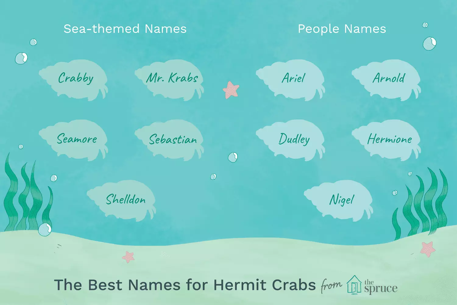 Shell-Licious Names for Your Aquatic Companions