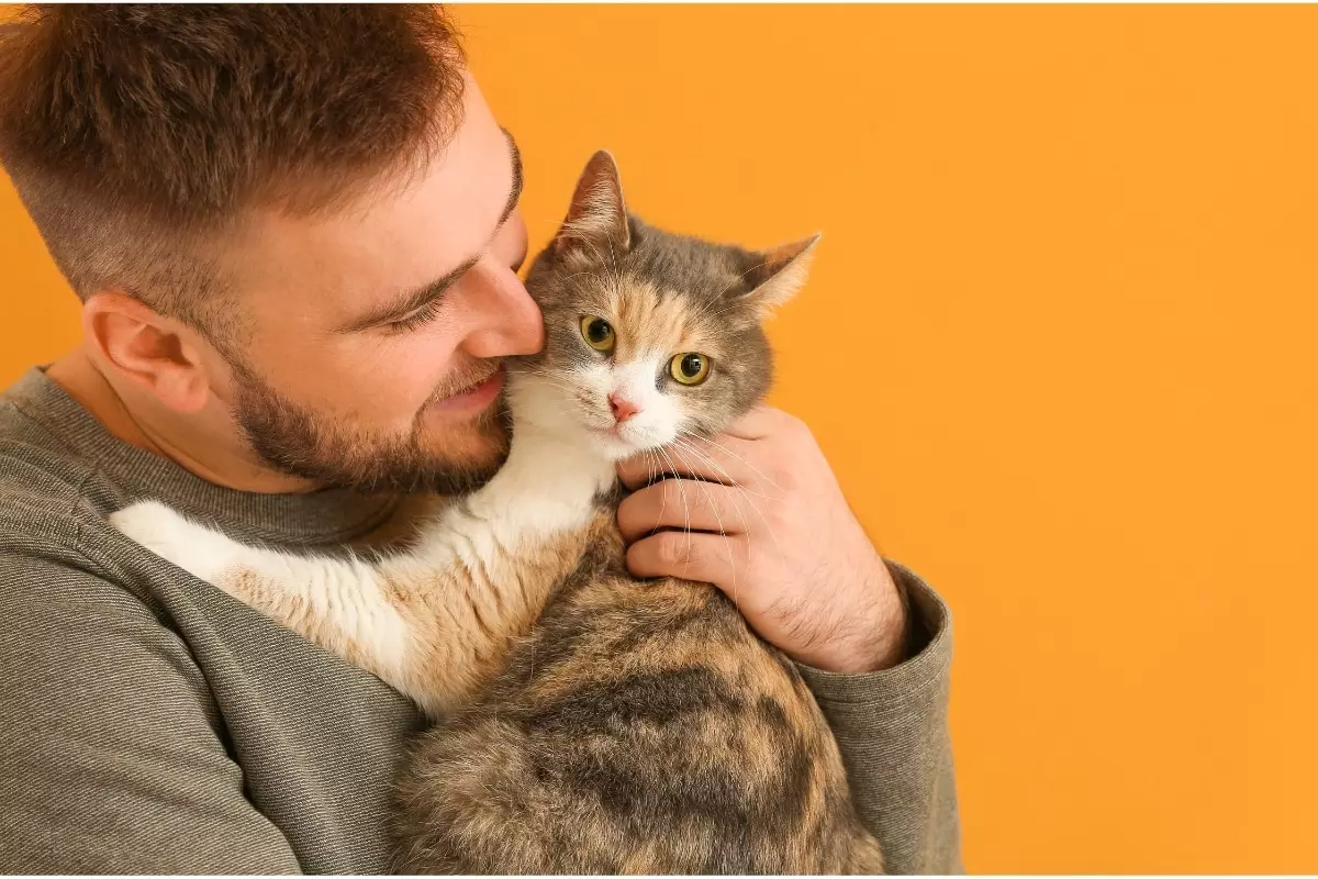 Felines of Empathy: Unraveling the Emotional Bond Between Cats and Humans
