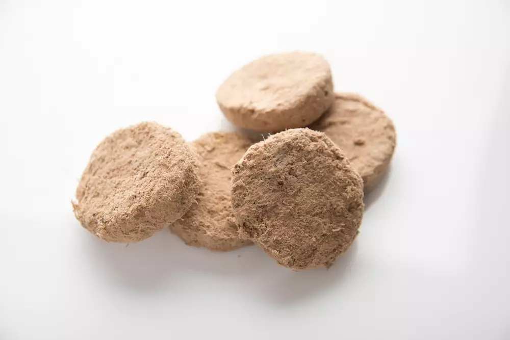 The Ultimate Pet Food Showdown: Freeze-Dried vs. Kibble for Dogs