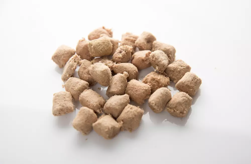 Transform Your Dog’s Diet: The Power of Premium Freeze-Dried and Air-Dried Foods
