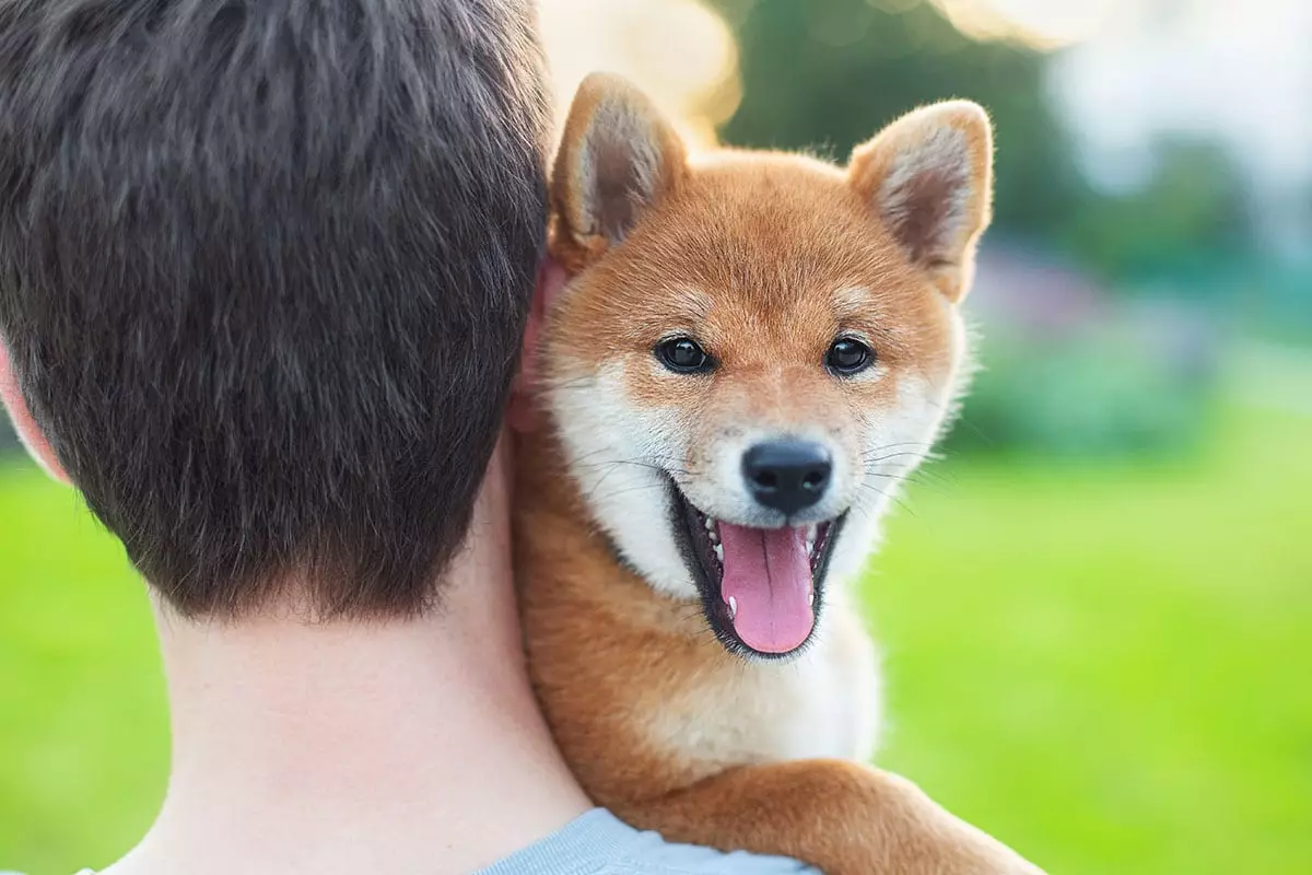 Delightfully Eccentric: The Charisma of Quirky Dog Breeds