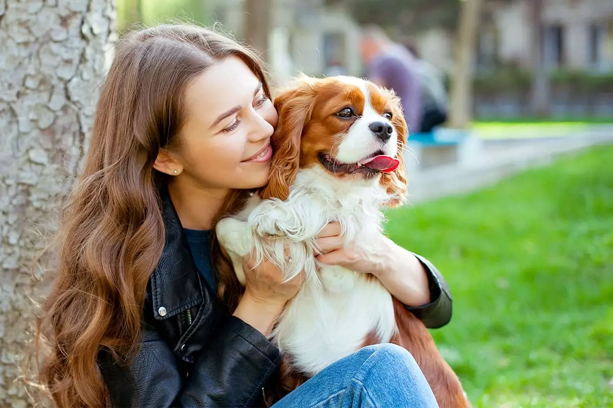 Unleashing Love: Exceptional Dog Breeds That Will Steal Your Heart