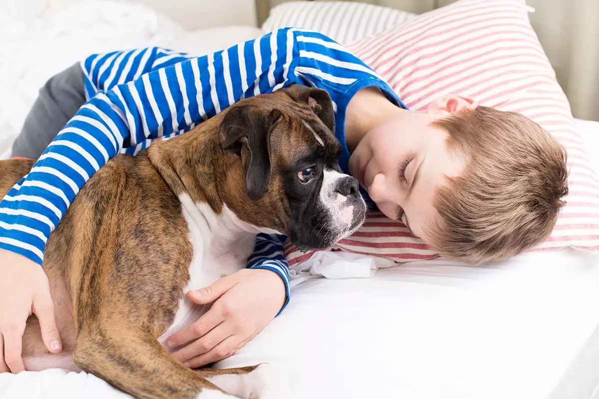 Unwavering Loyalty: The Transformative Power of Truly Devoted Dogs