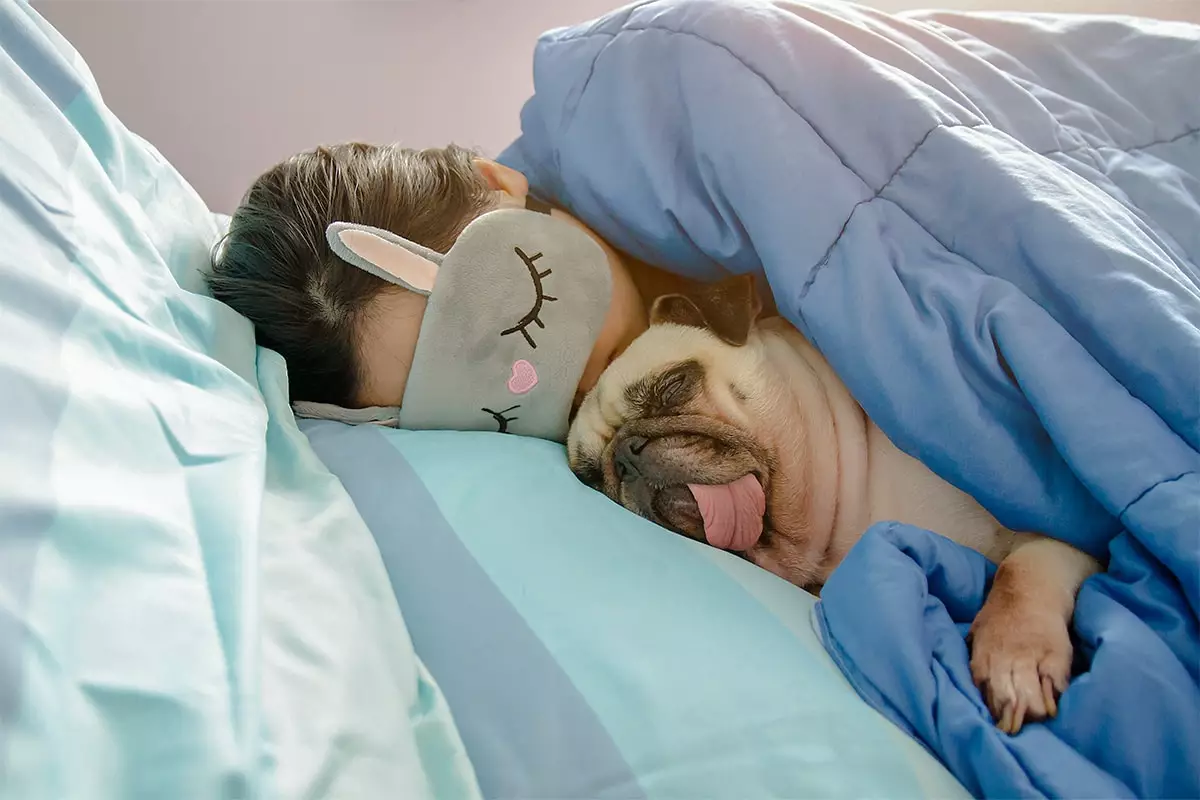 The Comfort Crusaders: How Certain Dog Breeds Transform Sleep into a Bonding Masterpiece
