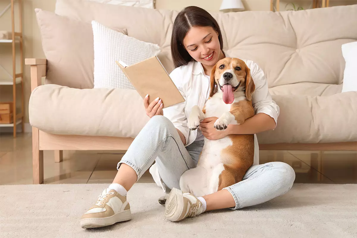The Unbreakable Bond: Why Truly Loving Dogs Are the Heart of Every Home