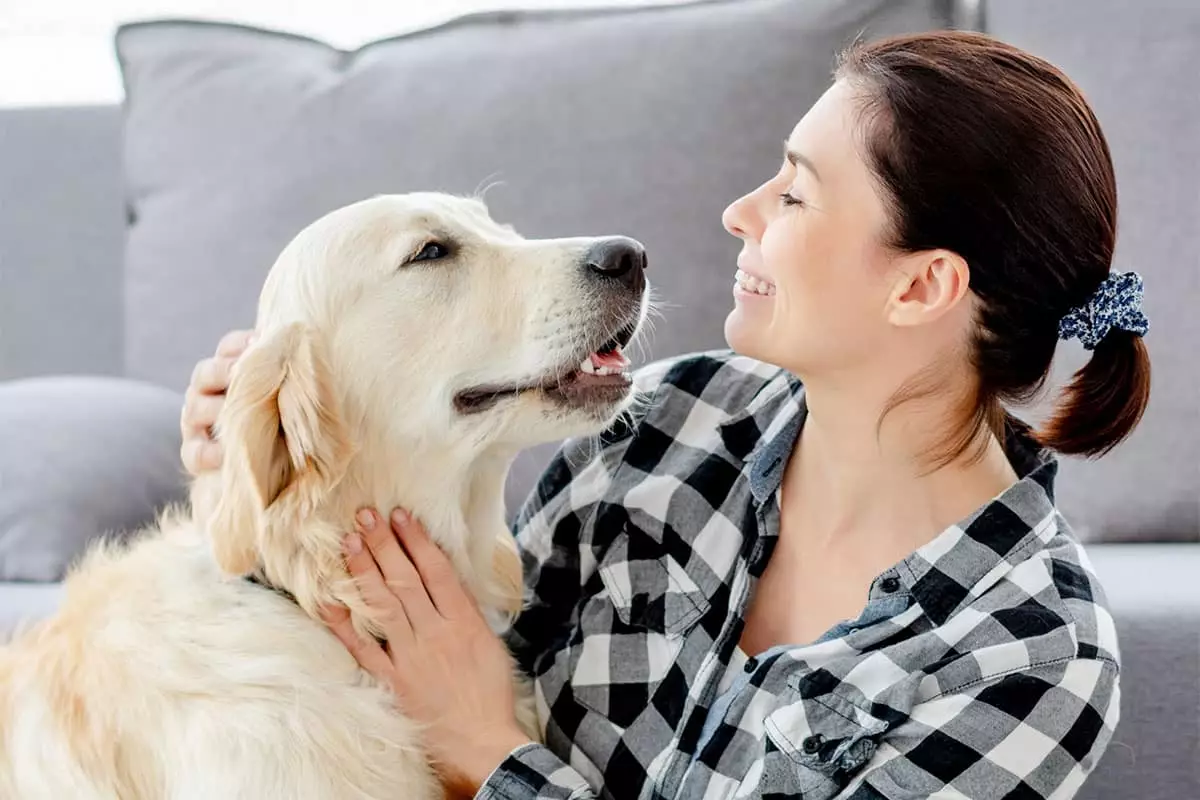 Unwavering Compassion: How Dogs Transform Emotional Well-Being with Their Intuitive Care